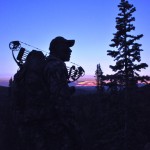 Colorado Elk 2010 515 – Copy