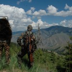 Copy (2) of ID Bear 062 054