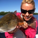 redfish_HANSON-300×223 Photo by TakeMeFishing