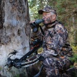 WY Elk 13 322