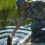 bass on topwater_