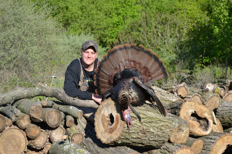 How to Hunt Turkeys in Phases — The Hunting page