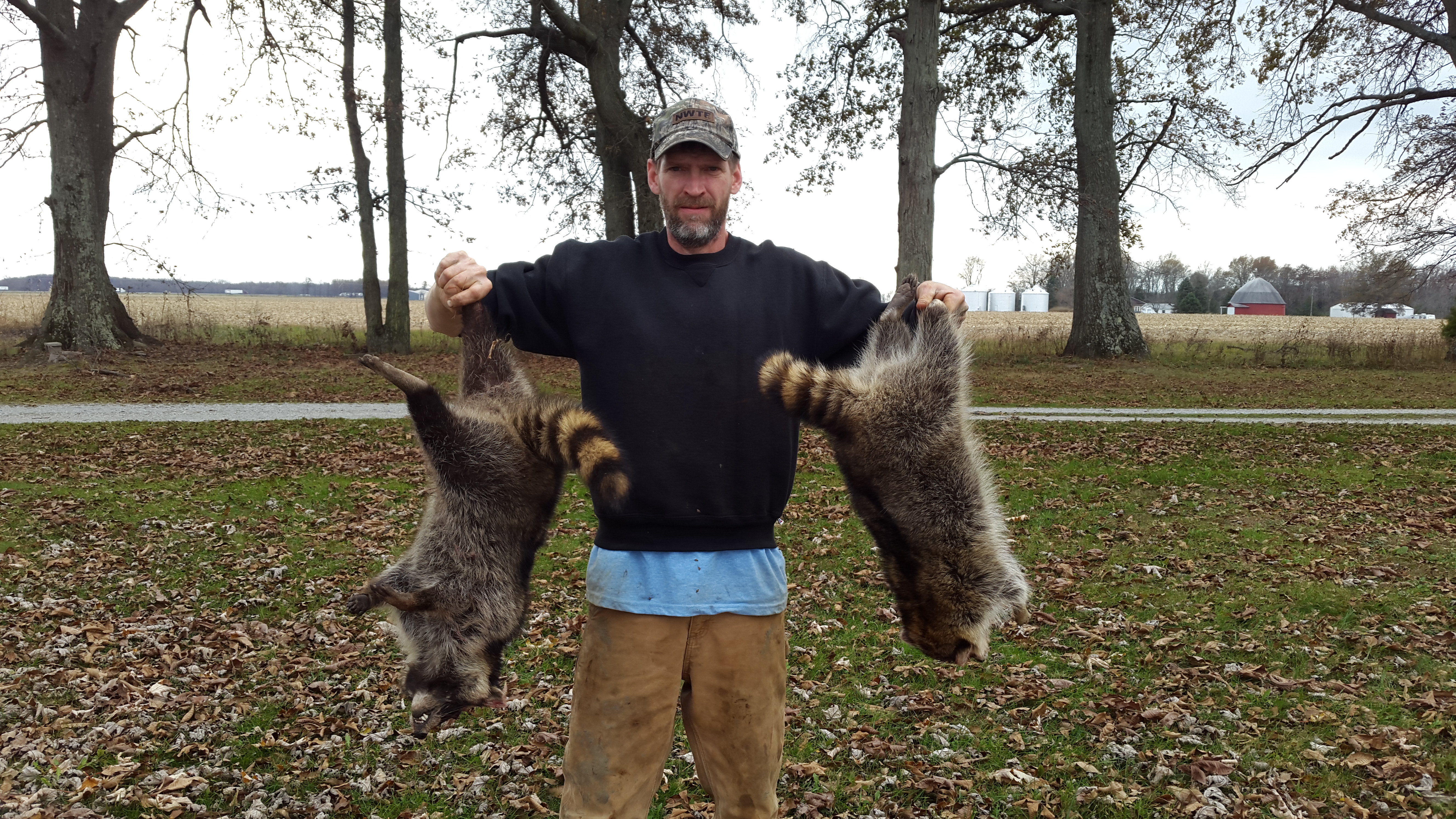 Coon Hunters A Dying Breed The Hunting page