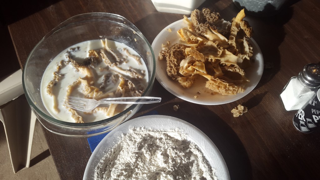 How to Clean and Cook Morels — The Hunting page