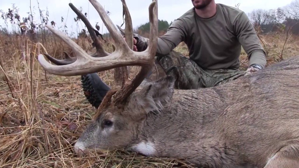 How to Choose the Right Public Land for Deer Hunting [VIDEO] — The