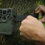 StealthCam