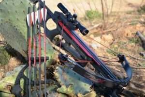 Texas Deer Camx 491