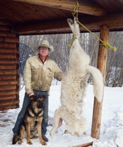 Ron Nemechek stands beside one less predator Canadian bucks must avoid.