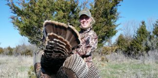 Harvested Wild Turkey in the Field