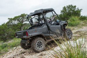 honda_pioneer-ox_ranch-sue_mead-WING4704