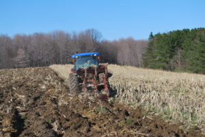 Tractor tilling soil for whitetail deer forage food plot.