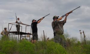 Dove Hunting Texas