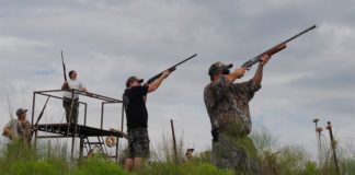 Dove Hunting Texas