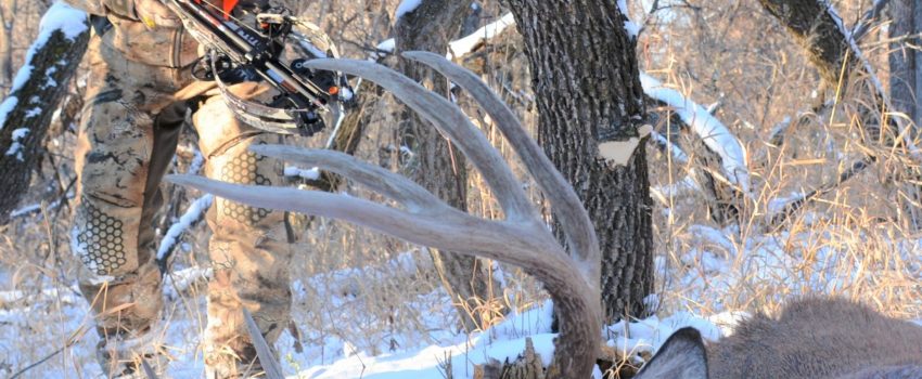 ????????????????????????????????????