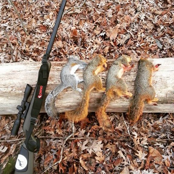 Air rifles are an effective weapon for taking small game.