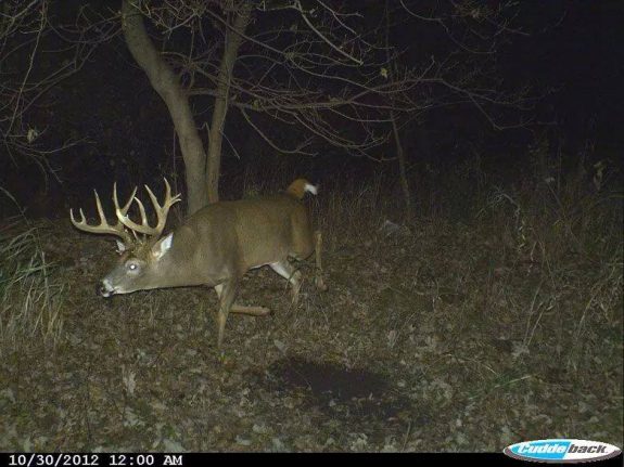 10462453_10152595988739880_4512926060335401085_n