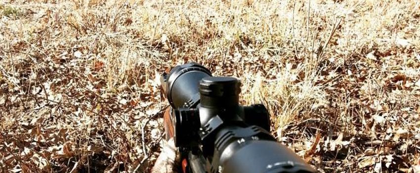 10801641_959148730776819_7410003995142525457_n