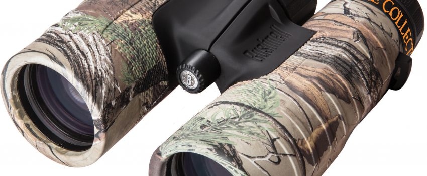 13698735-standard[1]