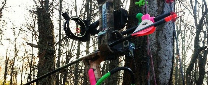 1455905_921014147923611_3116503974921297967_n