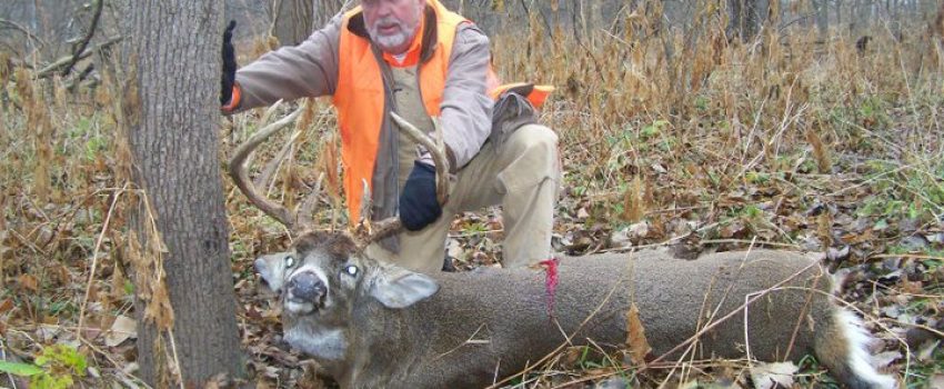 148616_181242975224413_2349109_n