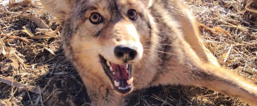 1781953_792458114115862_2112945669_n