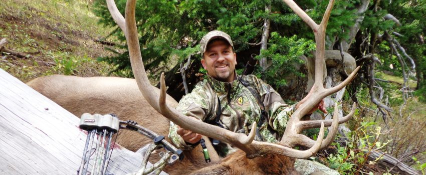 2013 WY ELK2