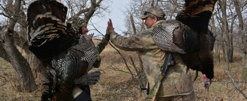 Knowing the travel routes of wild turkeys is just as important as for whitetail deer and a time-lapse camera will reveal those secrets.