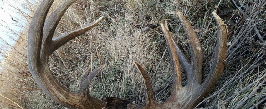 20155949_117044412265697_6529514118317172385_n