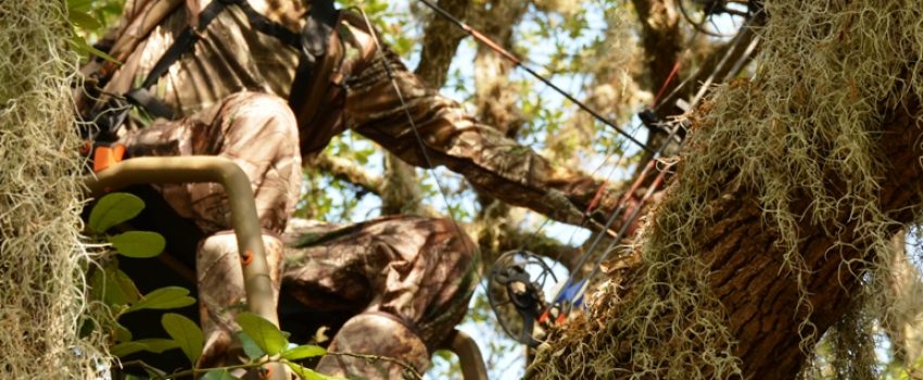 This 17-foot ladder stand makes for a quick, quiet entrance and a safe effective sit.