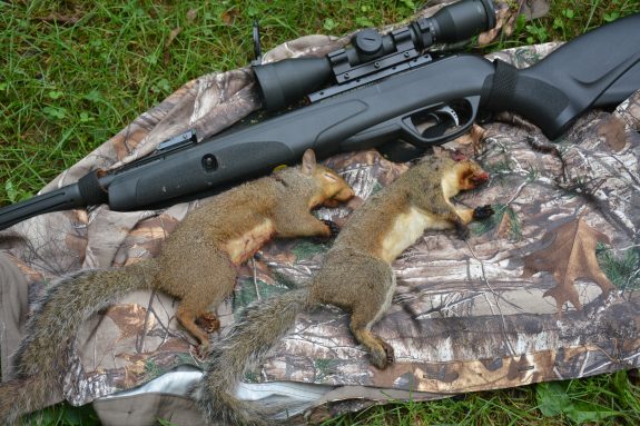 hard hitting impact of .22 caliber pellets.