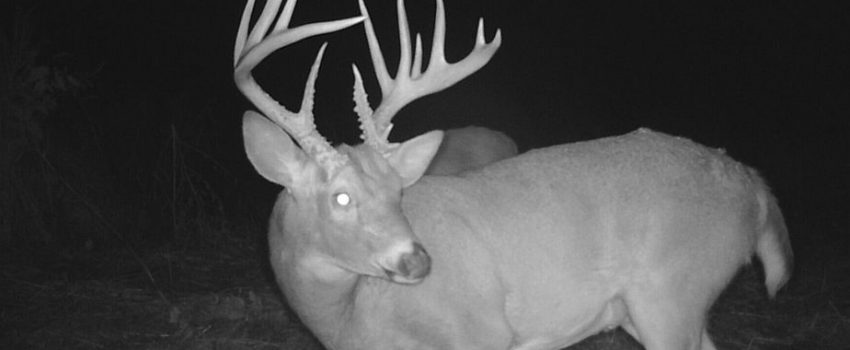 2017-08-06-17.01.19 (2)