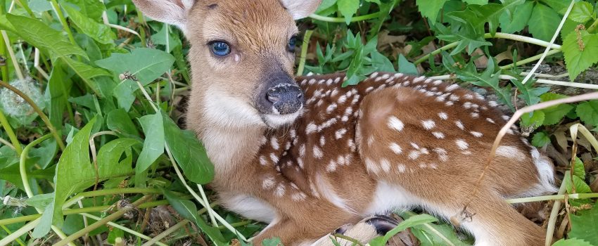 20180520_112028[1349]