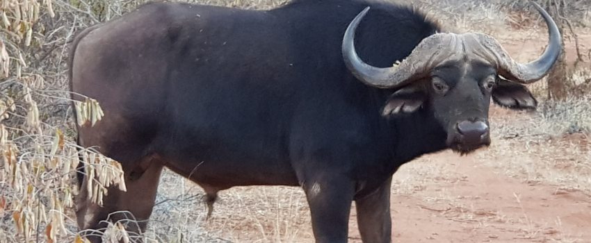 20180716_174047[8993]