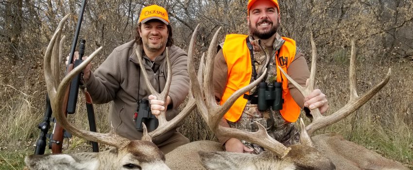 20181116_114042 - Copy