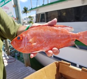 Ask about nearby restaurants that will cook your catch.