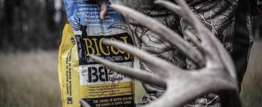 22448490_10155848566765742_8656359552545163766_n (1)