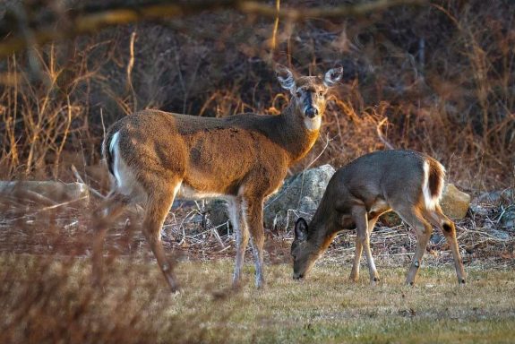 335774589_751821883009866_3944607921738955019_n