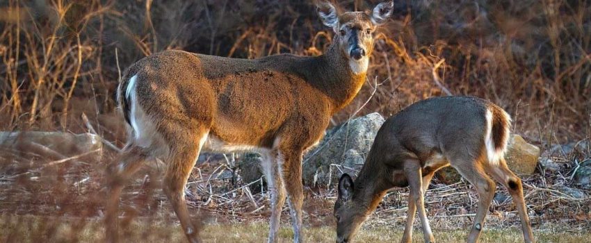 335774589_751821883009866_3944607921738955019_n