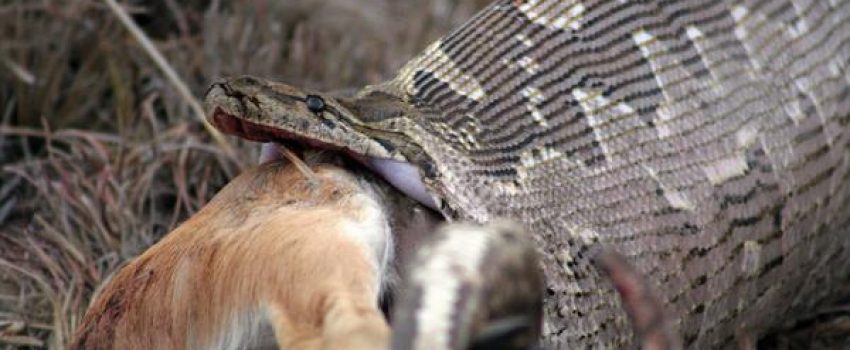 34229130059ac5bc94e3zjpg