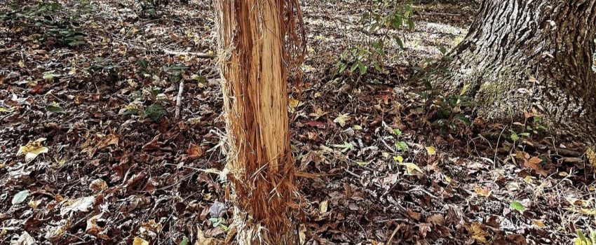 398261658_715317447164050_5889361942224572721_n