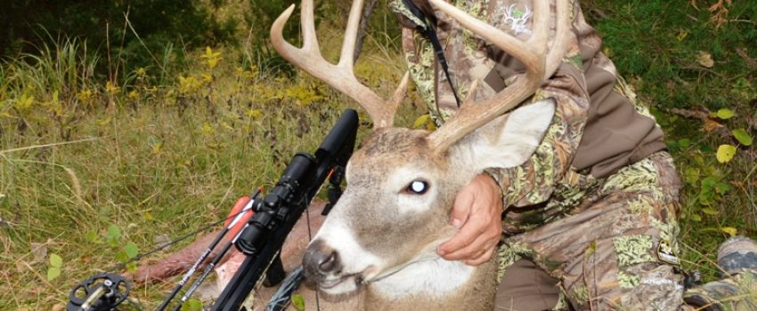 ????????????????????????????????????