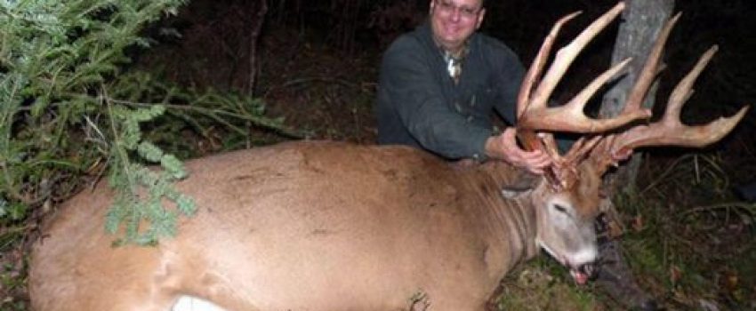 430poundbuck
