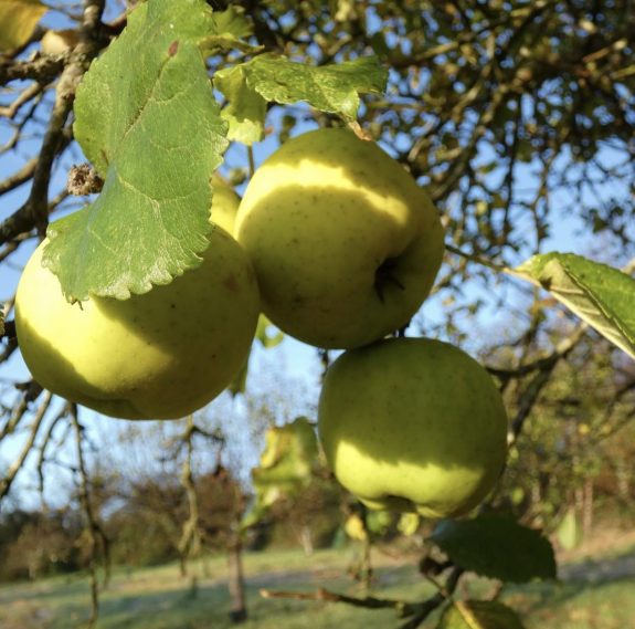 431572670_1786026038570063_5381297562477724419_n