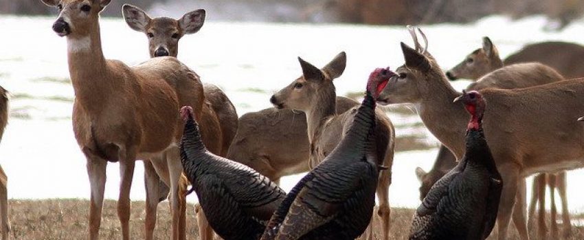 482877_539514522737191_1650220123_n