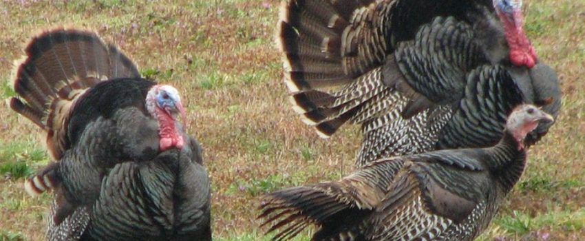 486004_628615967164378_610863923_n