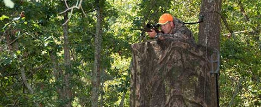 5 Image by South Carolina Department of Natural Resources