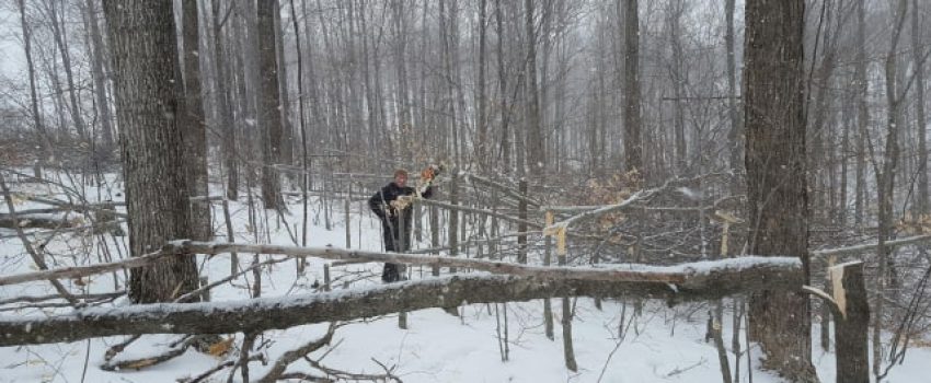 52474423_709707816091306_7495212432579624960_n