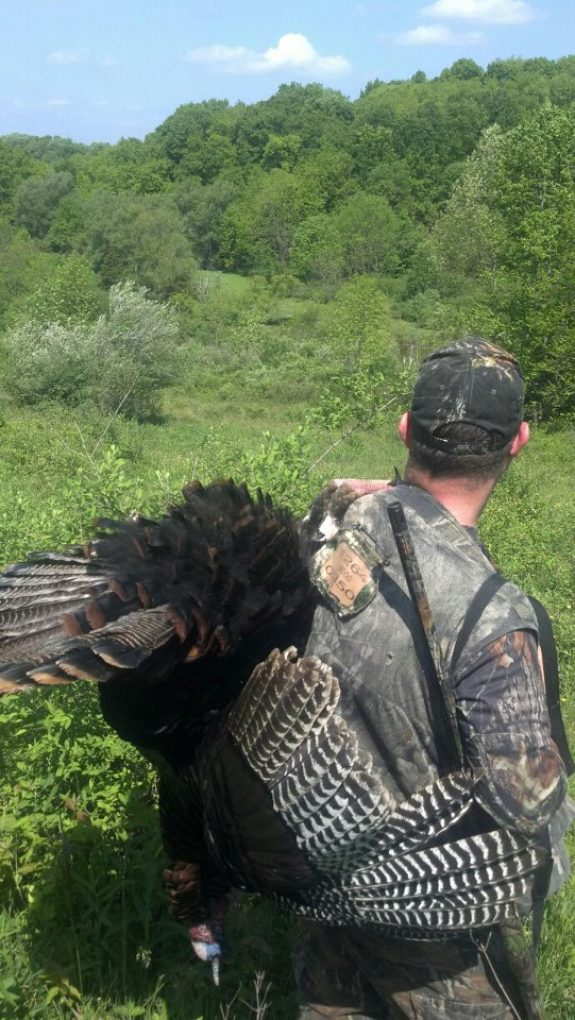 540276_384510358251787_928850999_n