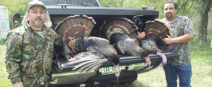 Texas turkey hunt Photo by: Ray L. Riojas