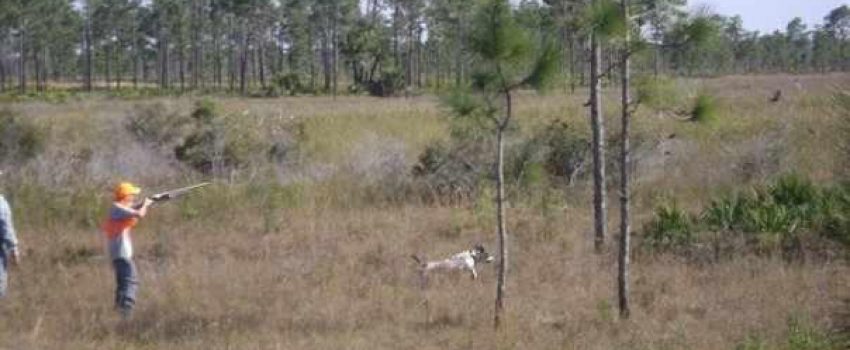 6108_3942668464066_1308297266_n